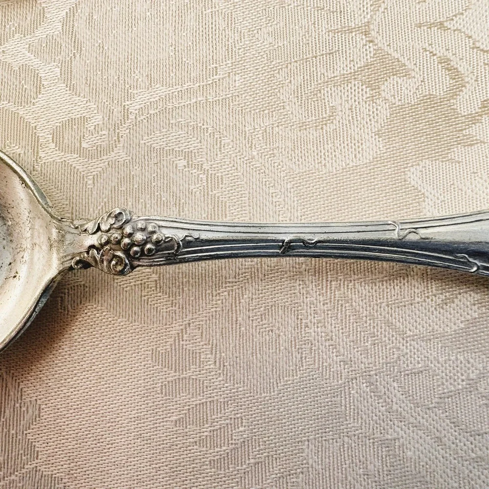 1847 Rogers Bros Vintage 1904 Silverplate 1 Gumbo & 3 Fruit Spoons Grape Motif